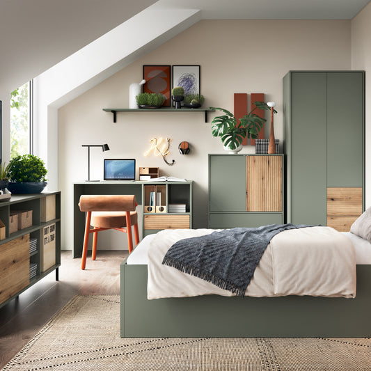 Danica Sideboard 2 Door 2 Drawer in Green/Oak