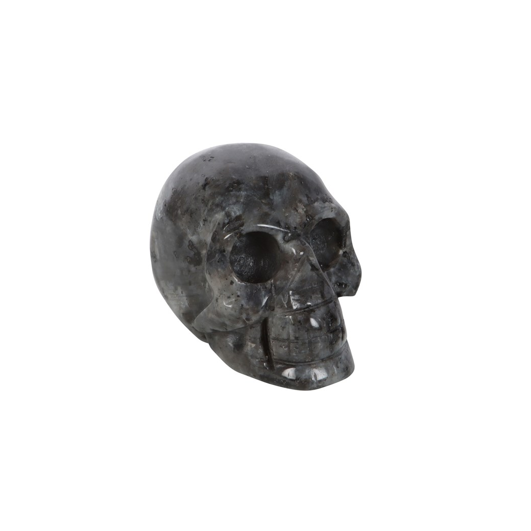 Black Labradorite  Crystal Skull
