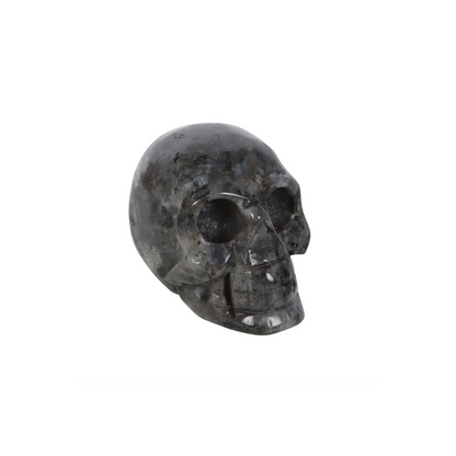 Black Labradorite  Crystal Skull