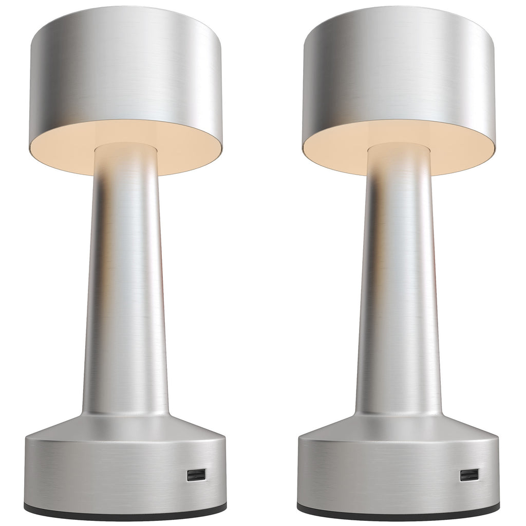 2 Pack Cordless Table Lamp, Touch LED Desk Lamp with Rechargeable Battery, 3 Colour, for Bedroom Living Room, Silver