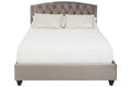 Jocelyn Steel Shade Double Bed