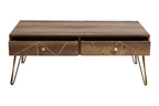 Felix Coffee Table with 2 Drawers