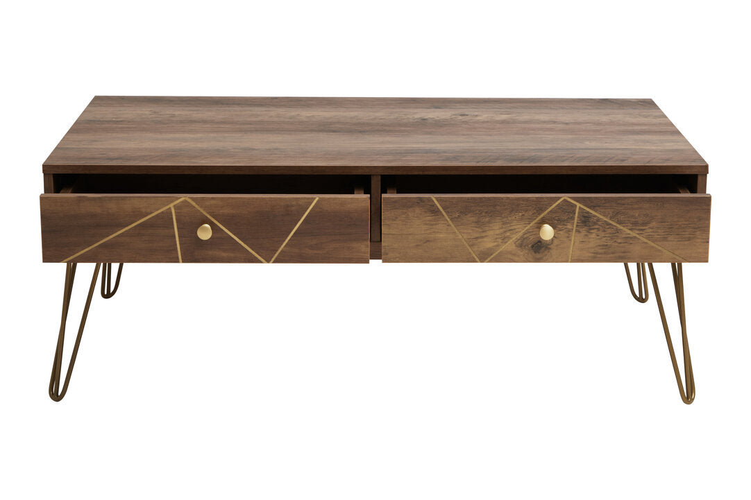 Felix Coffee Table with 2 Drawers