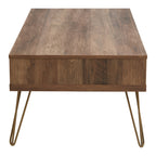 Felix Coffee Table with 2 Drawers