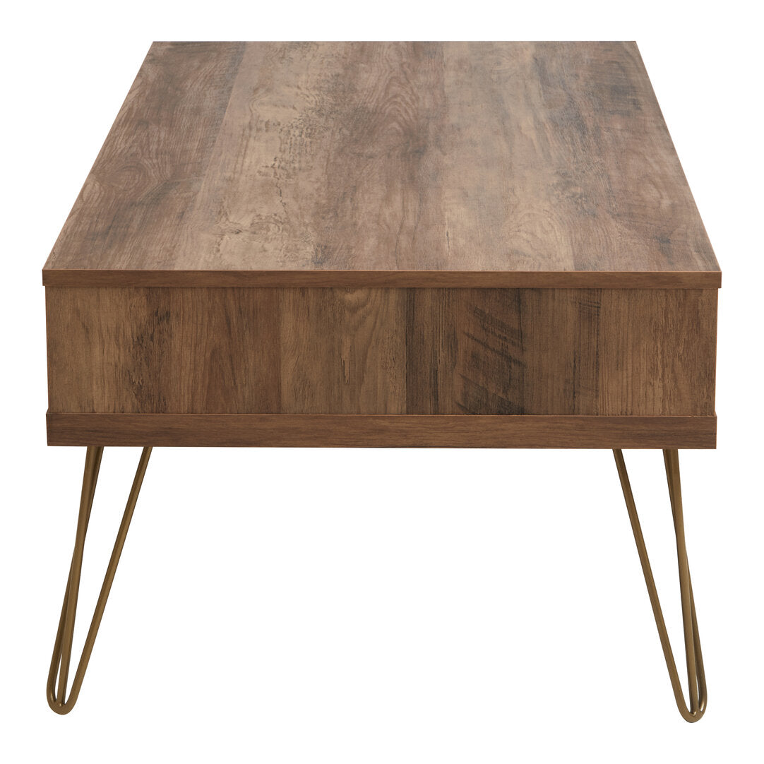 Felix Coffee Table with 2 Drawers