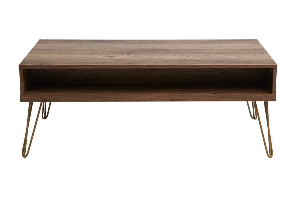 Felix Coffee Table with 2 Drawers