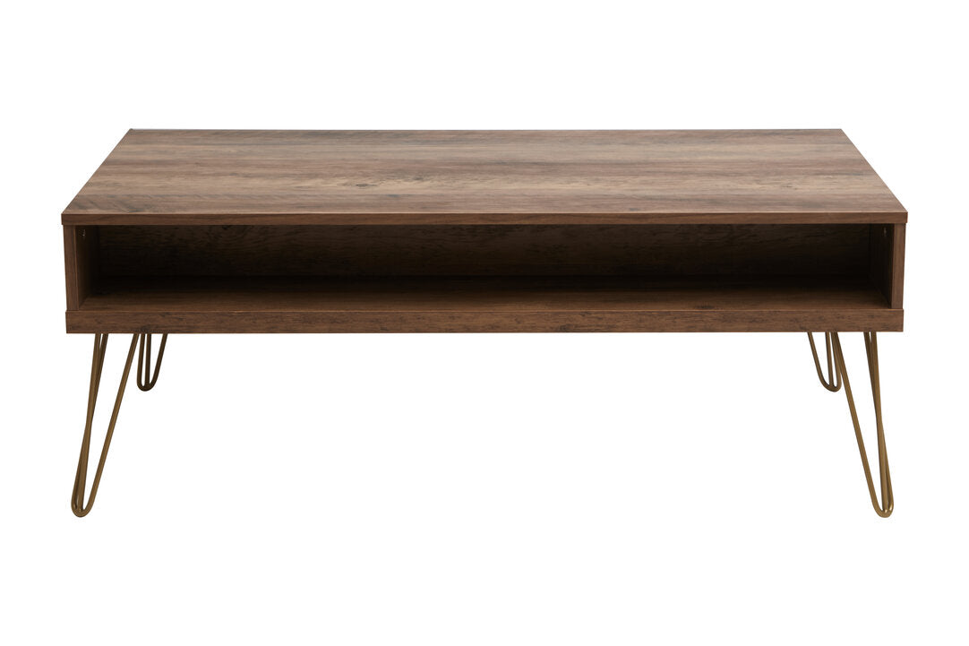 Felix Coffee Table with 2 Drawers