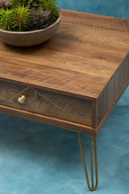 Felix Coffee Table with 2 Drawers