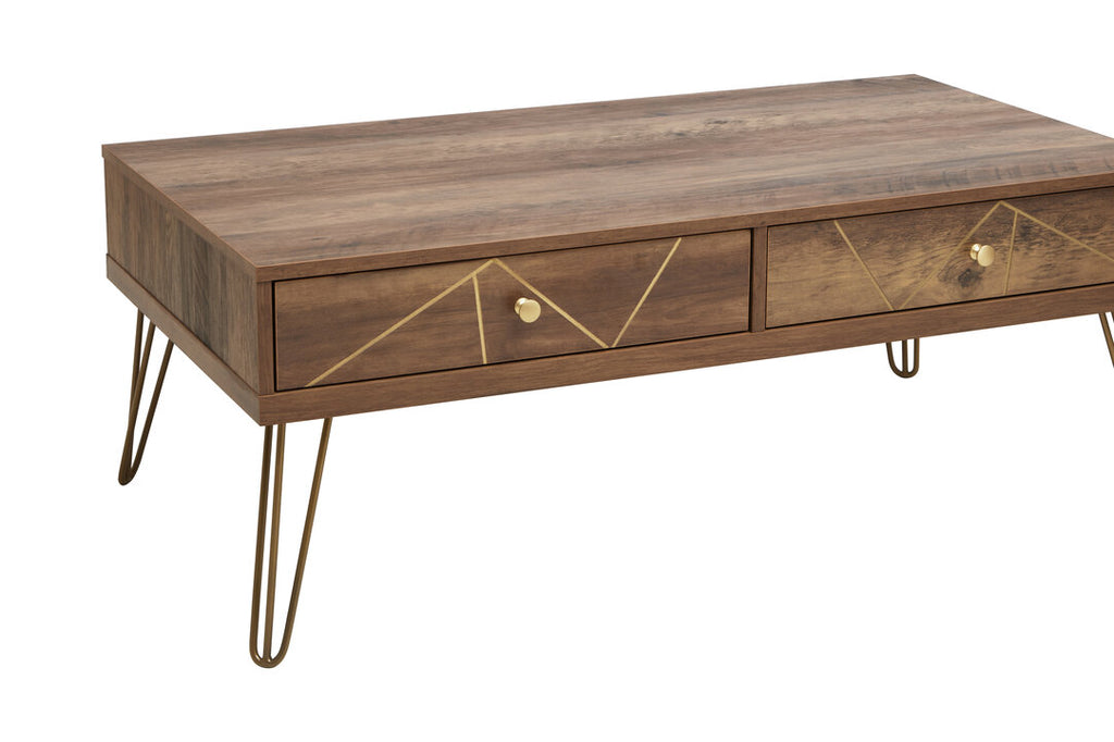 Felix Coffee Table with 2 Drawers