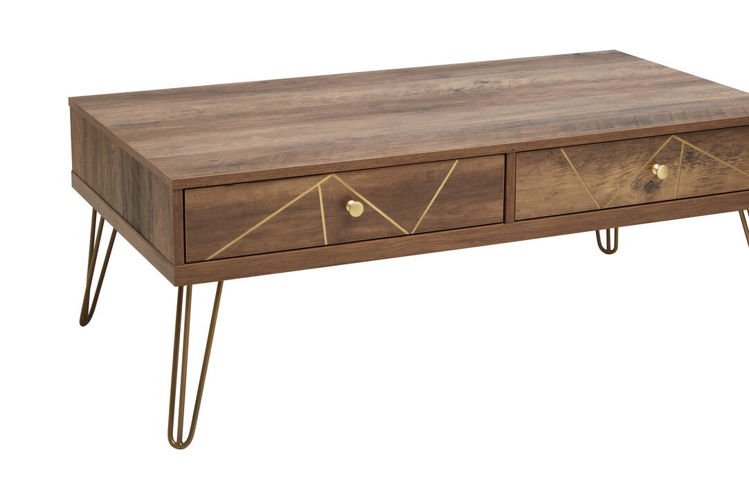 Felix Coffee Table with 2 Drawers