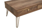 Felix Coffee Table with 2 Drawers