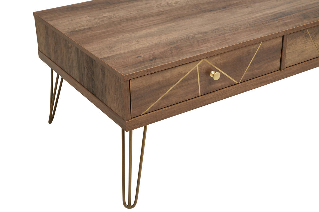 Felix Coffee Table with 2 Drawers