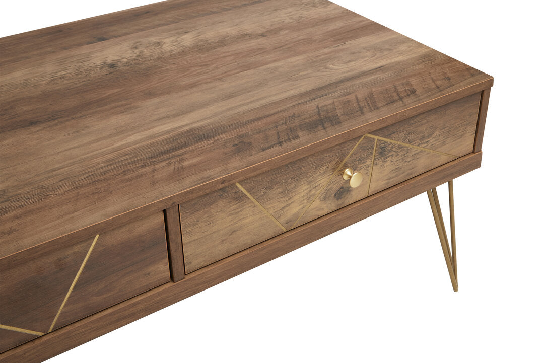 Felix Coffee Table with 2 Drawers
