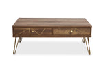 Felix Coffee Table with 2 Drawers