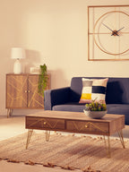 Felix Coffee Table with 2 Drawers