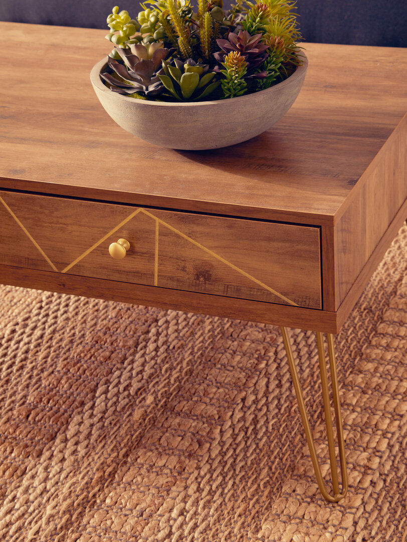 Felix Coffee Table with 2 Drawers