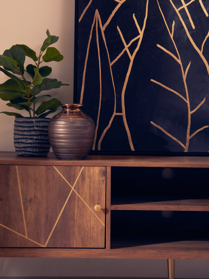 Felix TV/ Media Unit