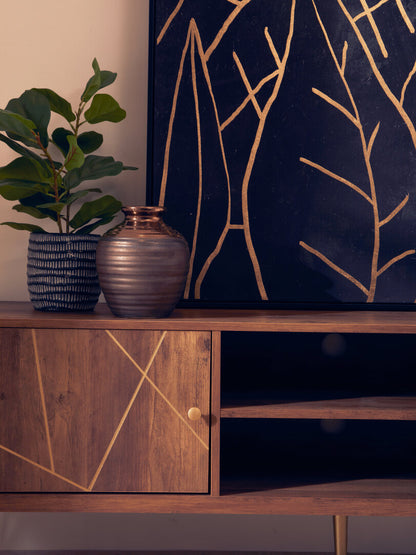 Felix TV/ Media Unit