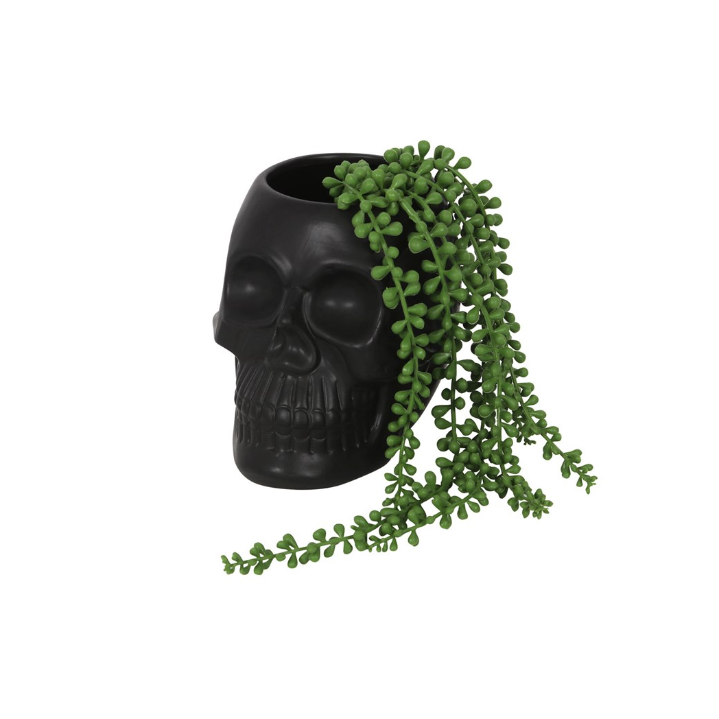 Black Skull Plant Pot