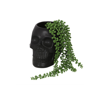Black Skull Plant Pot