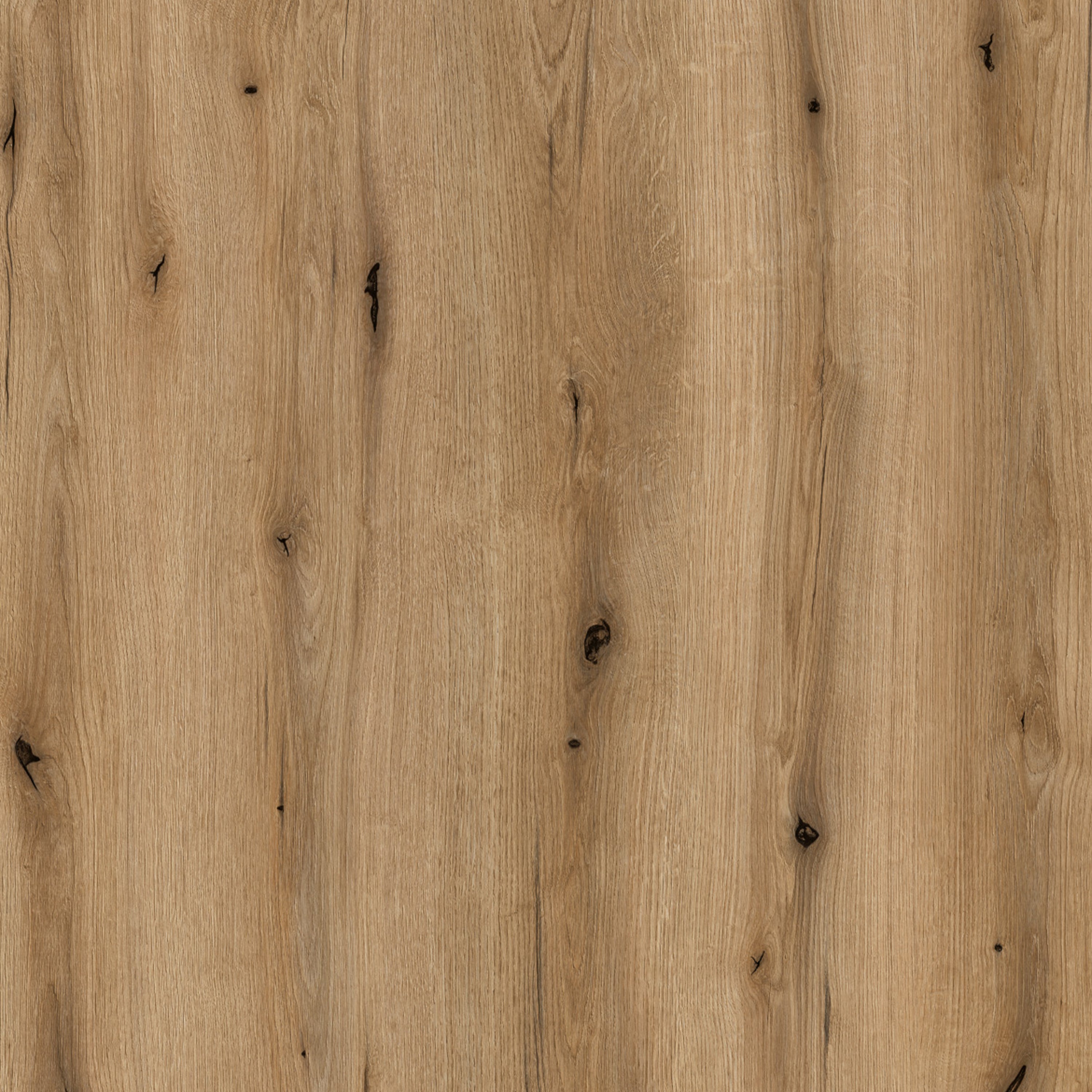 Cleo 2 Door Wide TV Unit in White and Oak (189cm)