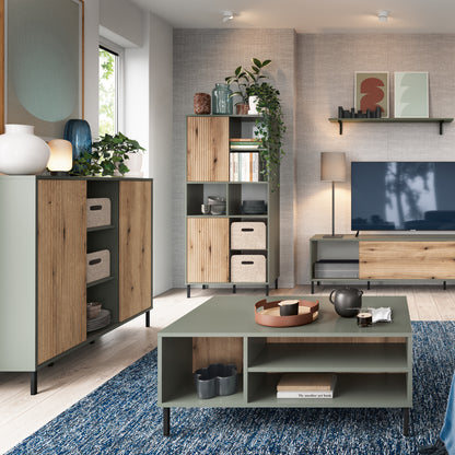 Danica Sideboard 2 Door in Green/Oak