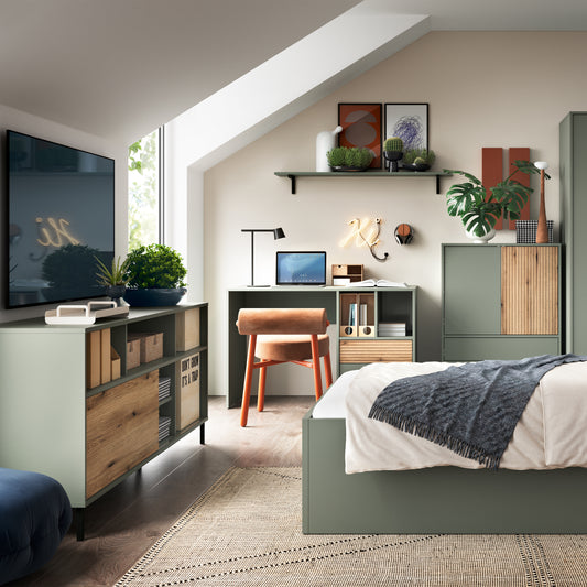 Danica TV Cabinet 1 Door 73cm High in Green/Oak
