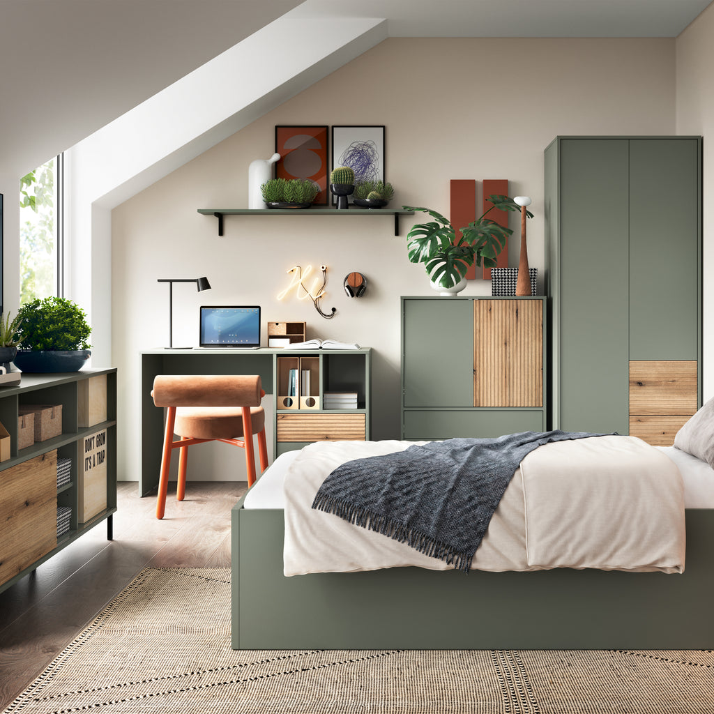 Danica Sideboard 2 Door 2 Drawer in Green/Oak