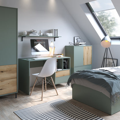 Danica Sideboard 2 Door 2 Drawer in Green/Oak