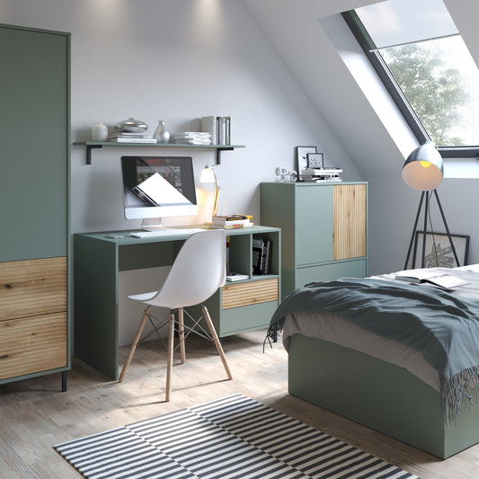 Danica Sideboard 2 Door 2 Drawer in Green/Oak