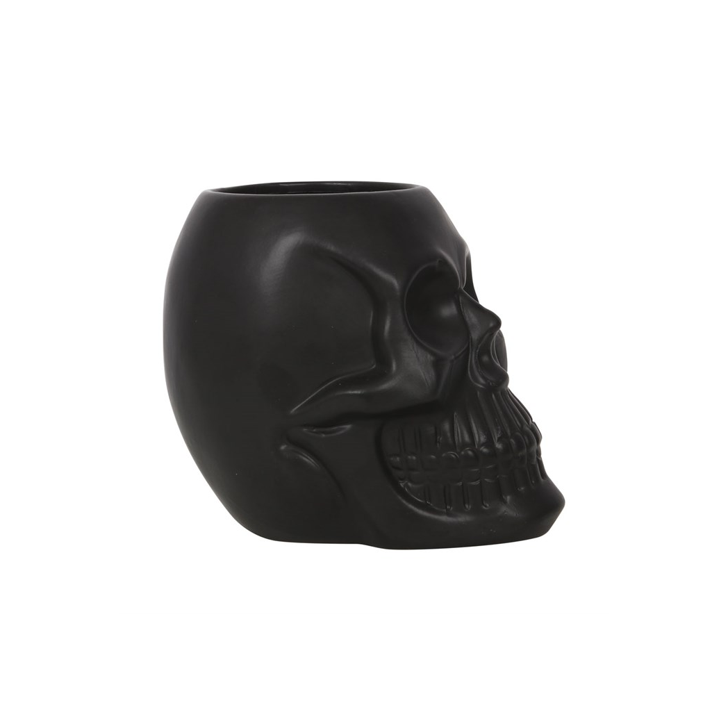 Black Skull Plant Pot