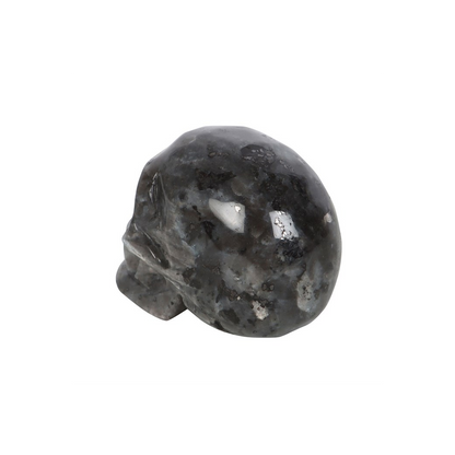 Black Labradorite  Crystal Skull