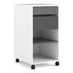 Fenton Mobile File Cabinet 2 Drawers 1 Shelf