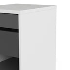 Fenton Mobile File Cabinet 2 Drawers 1 Shelf