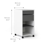 Fenton Mobile File Cabinet 2 Drawers 1 Shelf