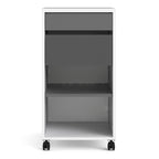 Fenton Mobile File Cabinet 2 Drawers 1 Shelf