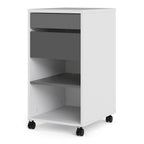 Fenton Mobile File Cabinet 2 Drawers 1 Shelf