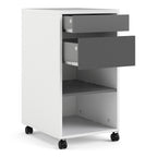 Fenton Mobile File Cabinet 2 Drawers 1 Shelf