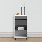 Fenton Mobile File Cabinet 2 Drawers 1 Shelf