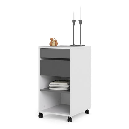Fenton Mobile File Cabinet 2 Drawers 1 Shelf