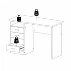 Fenton 4 Drawer Desk in Oak