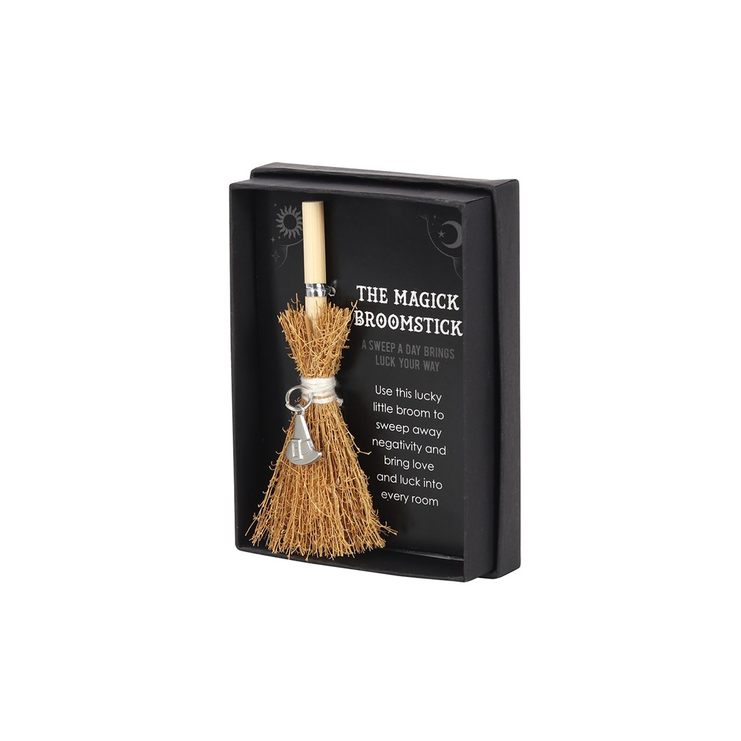 Witch Hat Mini Magick Broomstick