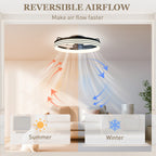 Ceiling Fans with Lights and Remote & App Control, 50cm LED Ceiling Fan Light with 3 Colour Temperatures, 6 Speed, Black
