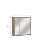 Alyson Hanging Mirror Cupboard with 3 Doors Push-to-Open in Taupe
