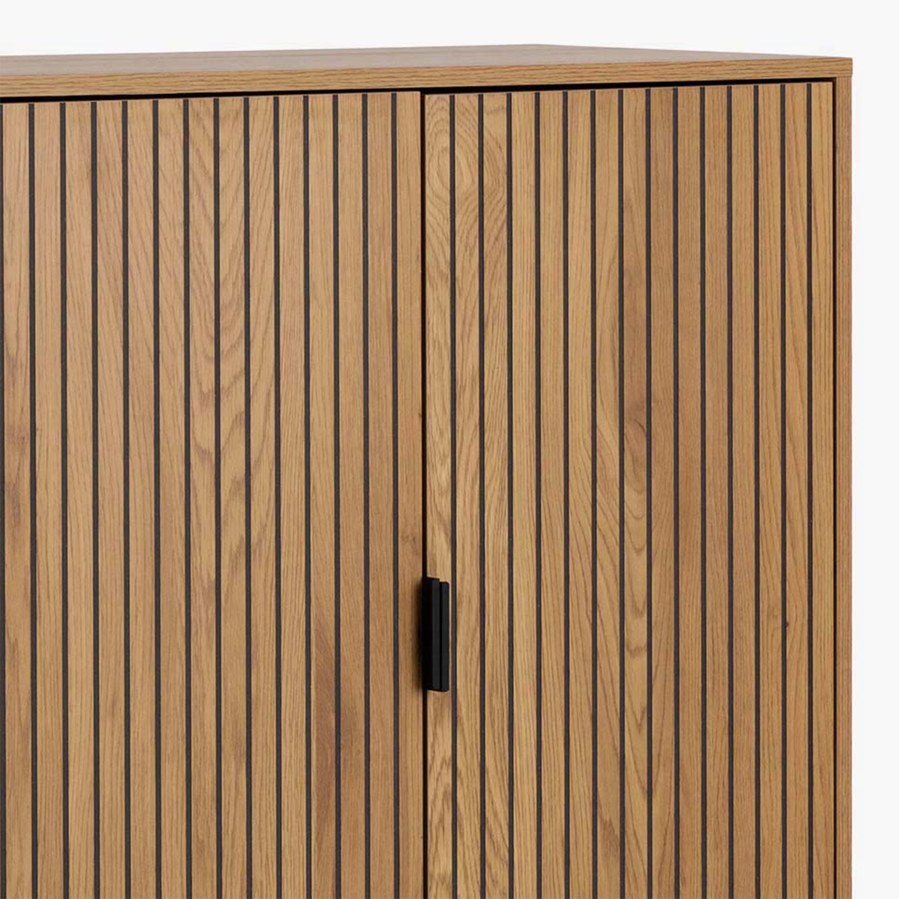 Jaya Cabinet with 2 Doors in Wild Oak