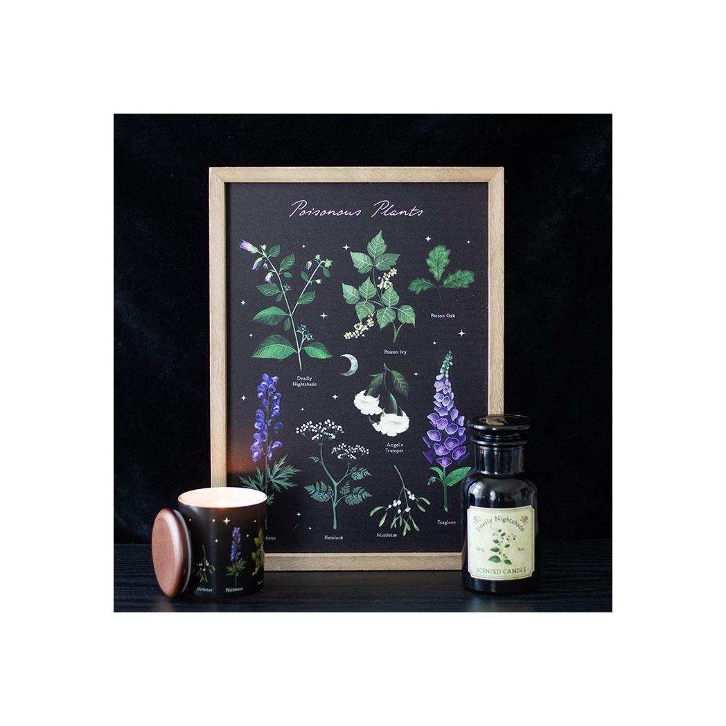 Poisonous Plants Framed Wall Art Print