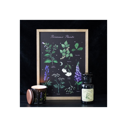 Poisonous Plants Framed Wall Art Print