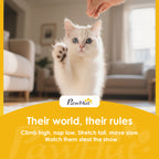 PawHut Automatic Cat Feeder, 4.5L WiFi Cat Food Dispenser with Timer, Programmable 1-10 Meals, Auto Pet Feeder