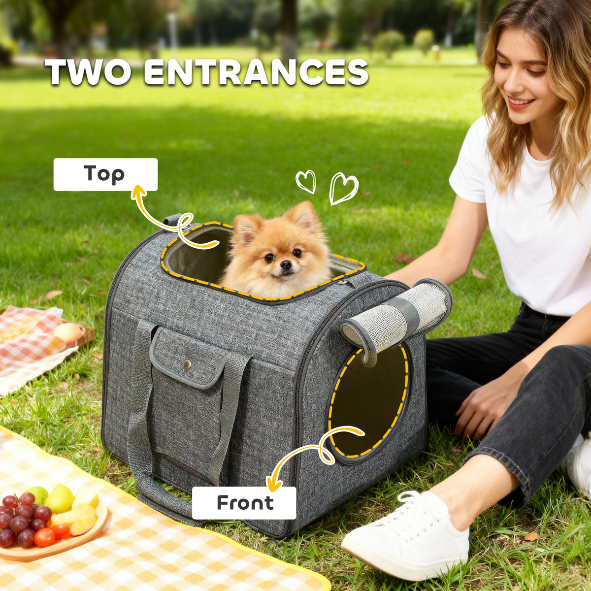 PawHut Soft Sided Cat Carrier Bag, Portable Foldable Pet Carrier with Shoulder Strap & Removable Mat for Small Pet Up to 10kg