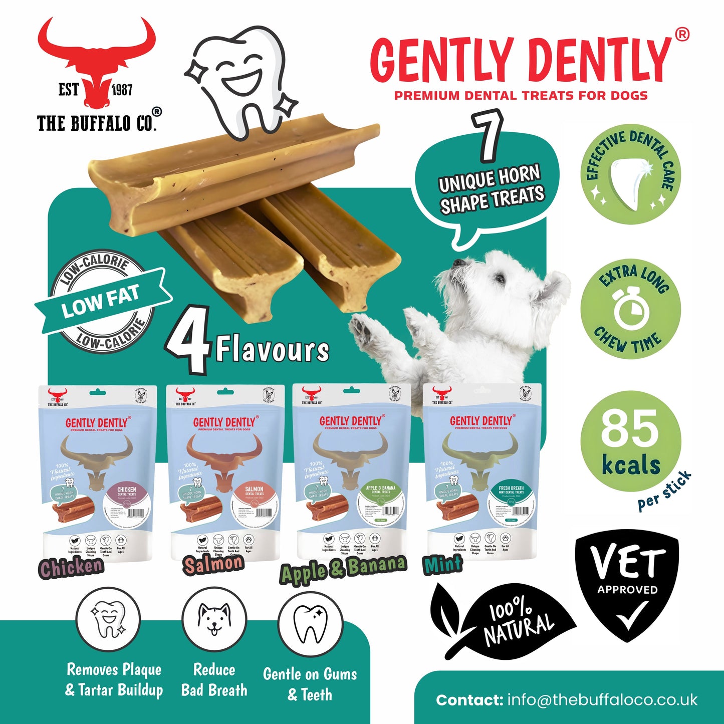 Gently Dently- Salmon Dental Treats for Dogs 175g